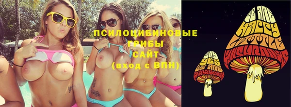 твердый Белокуриха