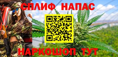 гидра Балашиха
