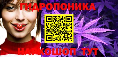 гидра Балашиха