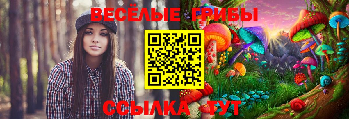 Псилоцибиновые грибы мухоморы  Псилоцибиновые грибы Magic Shrooms  Волжск  Вход с VPN 